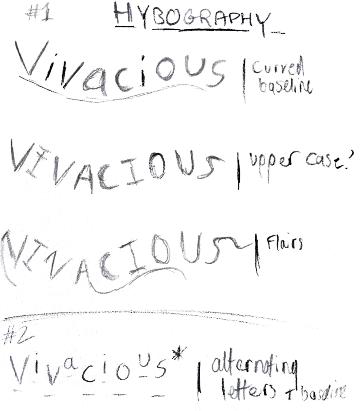 Preliminary Sketches